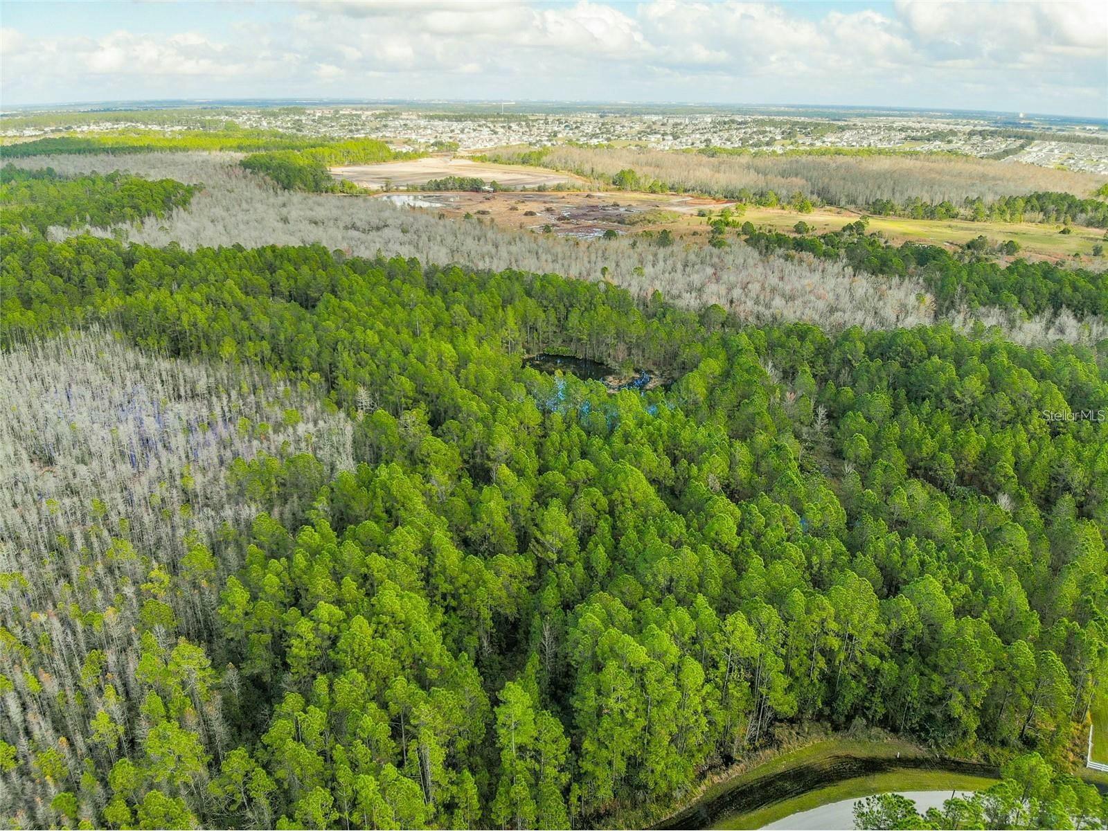 1102 Hidden Palms Drive Davenport FL 33897 TB8489280 image16