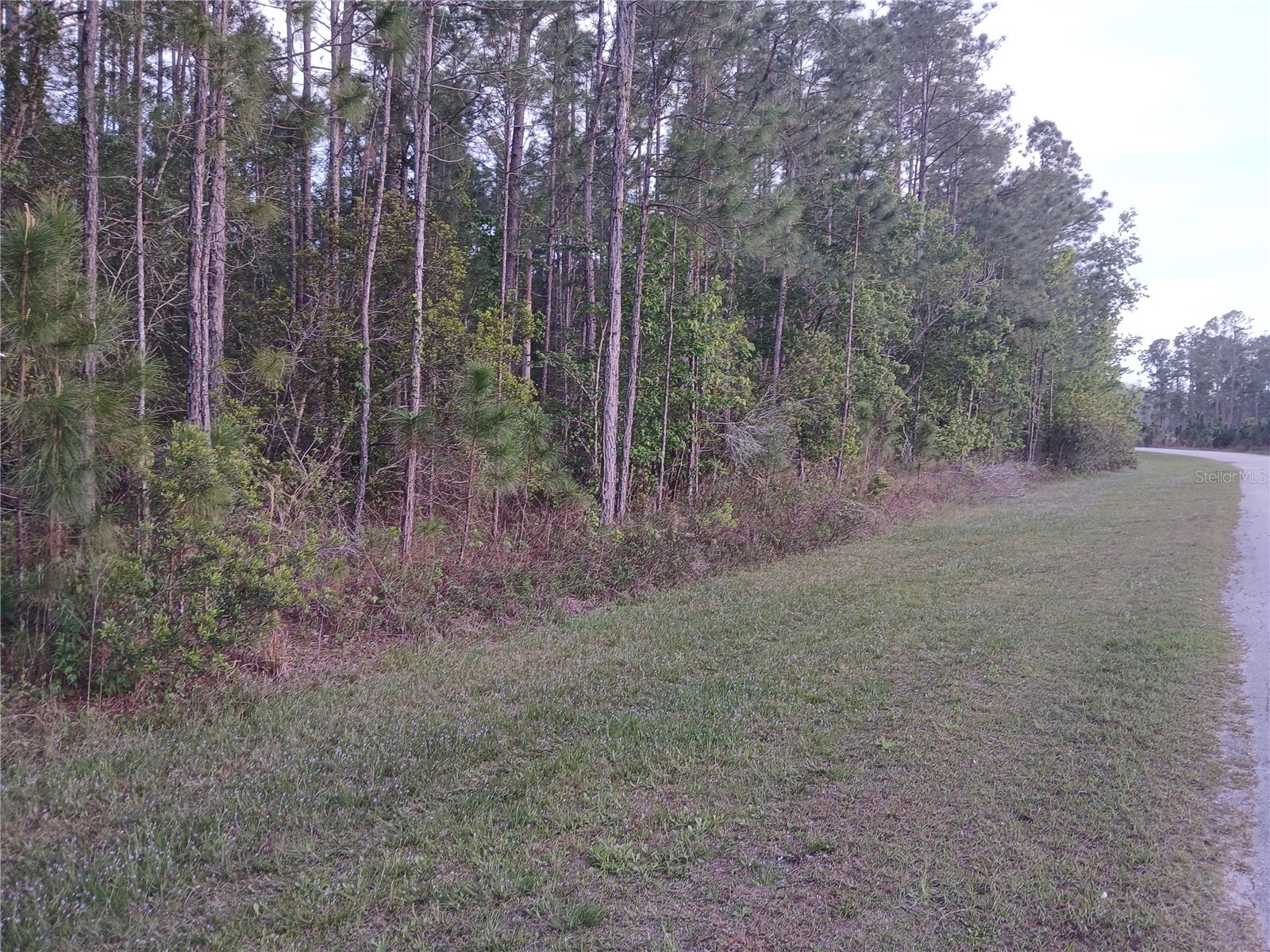 1102 Hidden Palms Drive Davenport FL 33897 TB8489280 image6