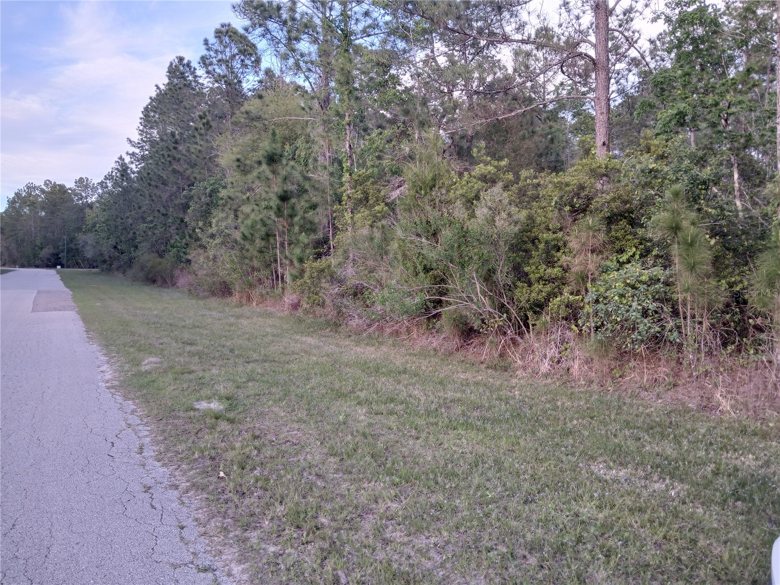 1102 Hidden Palms Drive Davenport FL 33897 TB8489280 image7