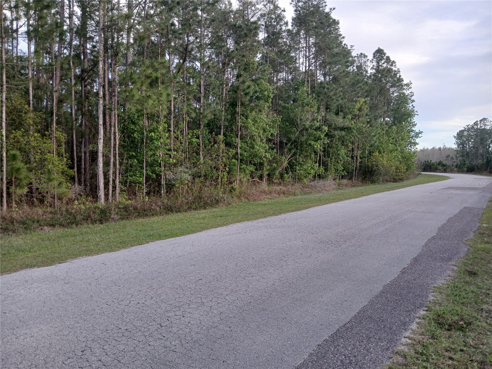 1102 Hidden Palms Drive Davenport FL 33897 TB8489280 image8