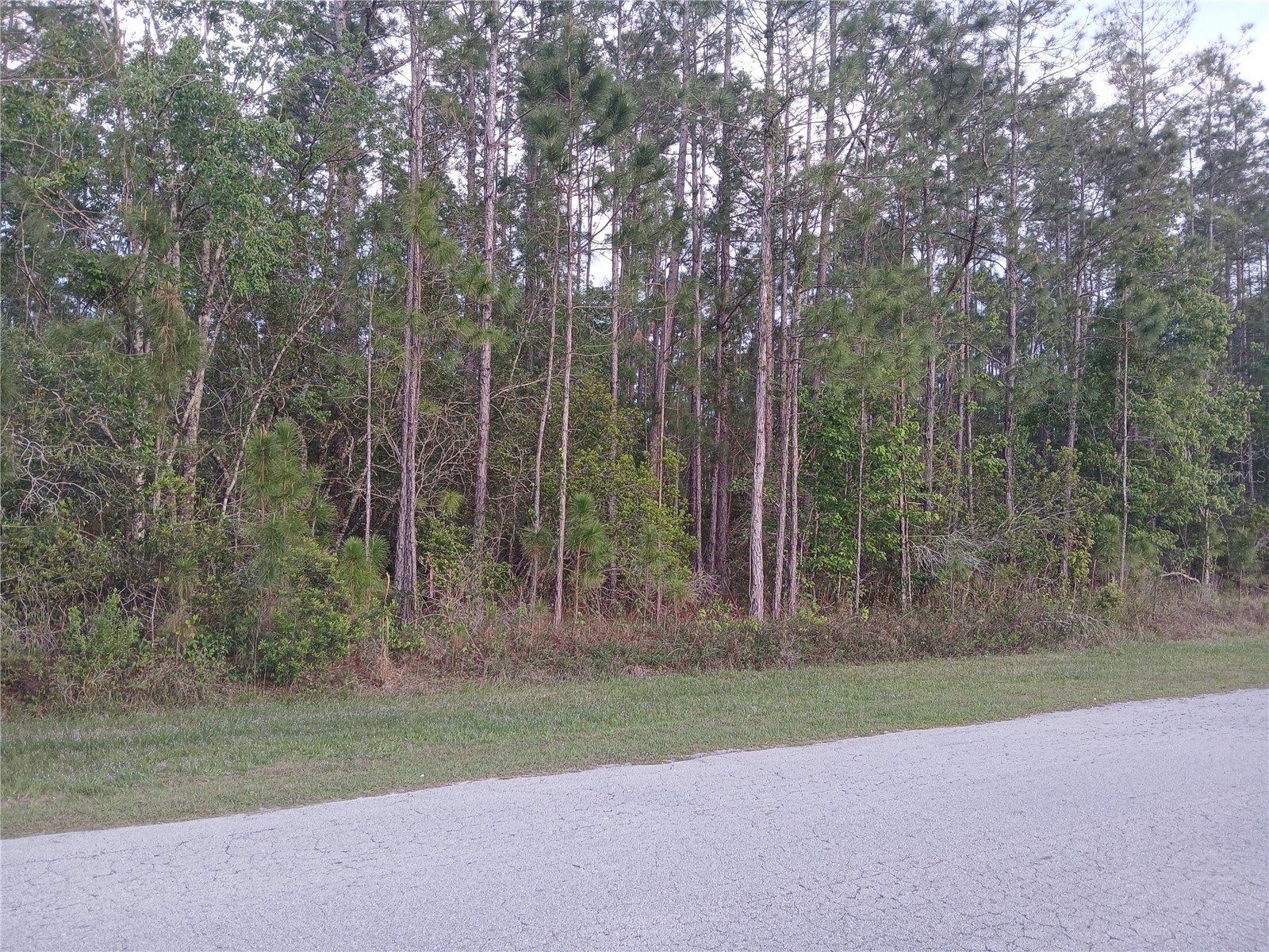 1102 Hidden Palms Drive Davenport FL 33897 TB8489280 image9