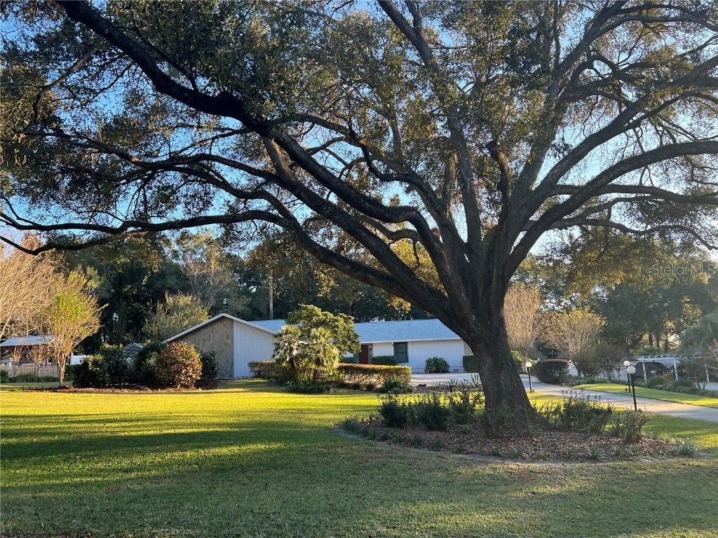 1102 Linmar Avenue Fruitland Park FL 34731 G5062960 image1