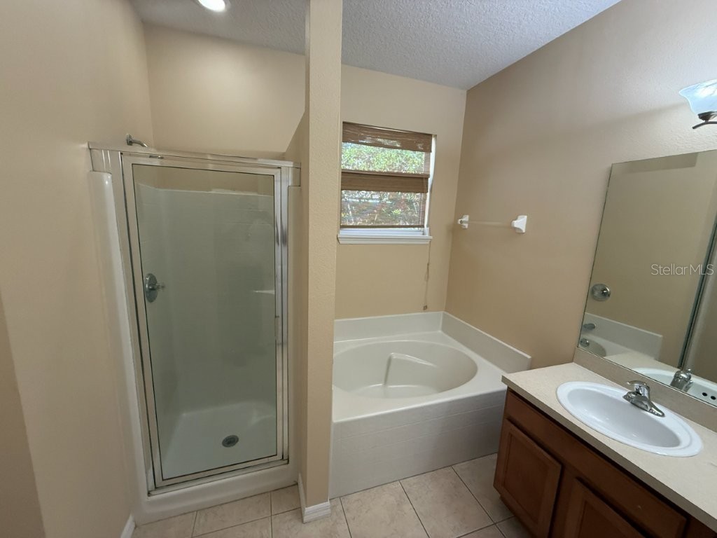 1102 Magnolia Blossom Court Apopka FL 32712 O6387421 image9