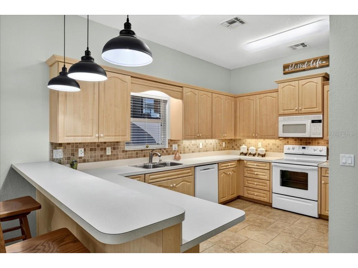 1102 Motorcoach Drive Polk City FL 33868 L4956583 image22