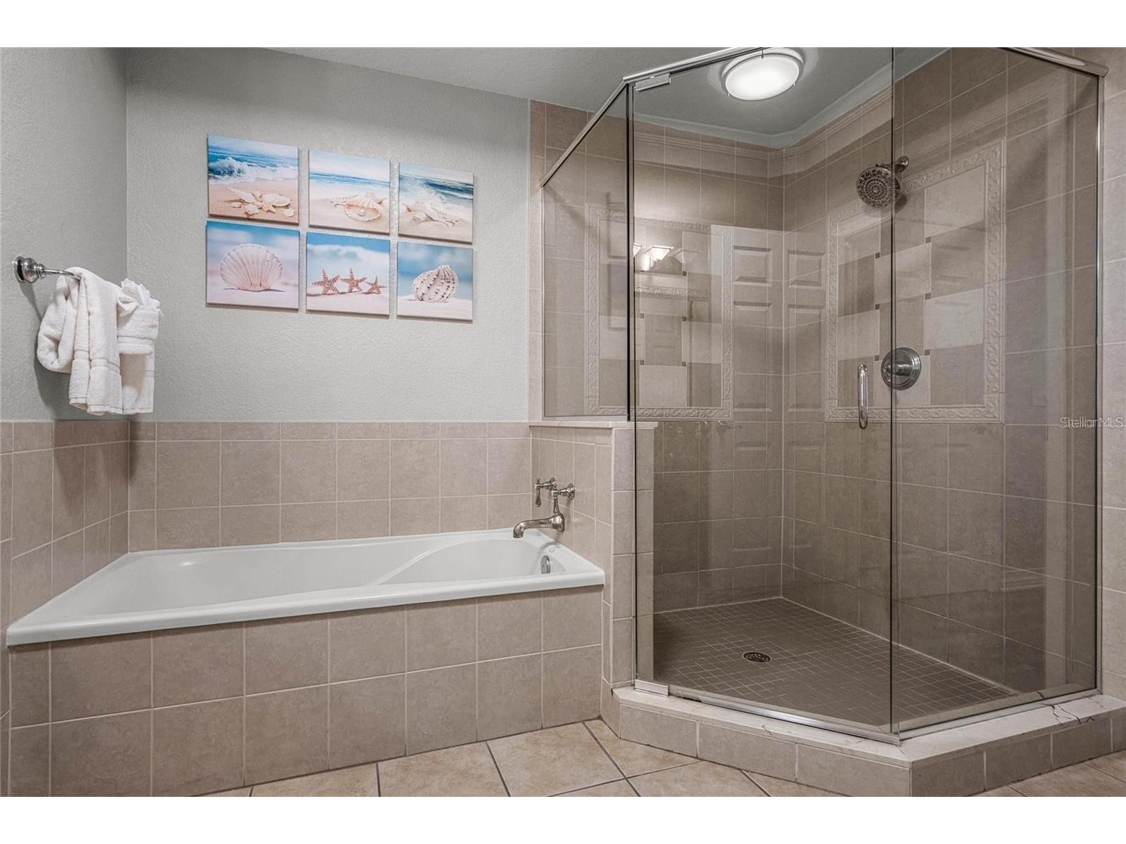1102 Sunset View Circle #204 Reunion FL 34747 O6389376 image14