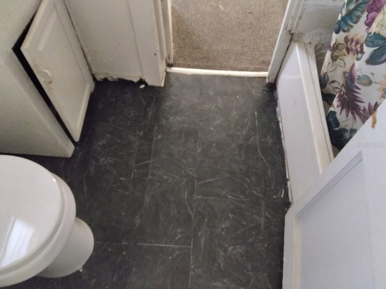 1102 W 13th Street Lakeland FL 33805 O6326715 image11