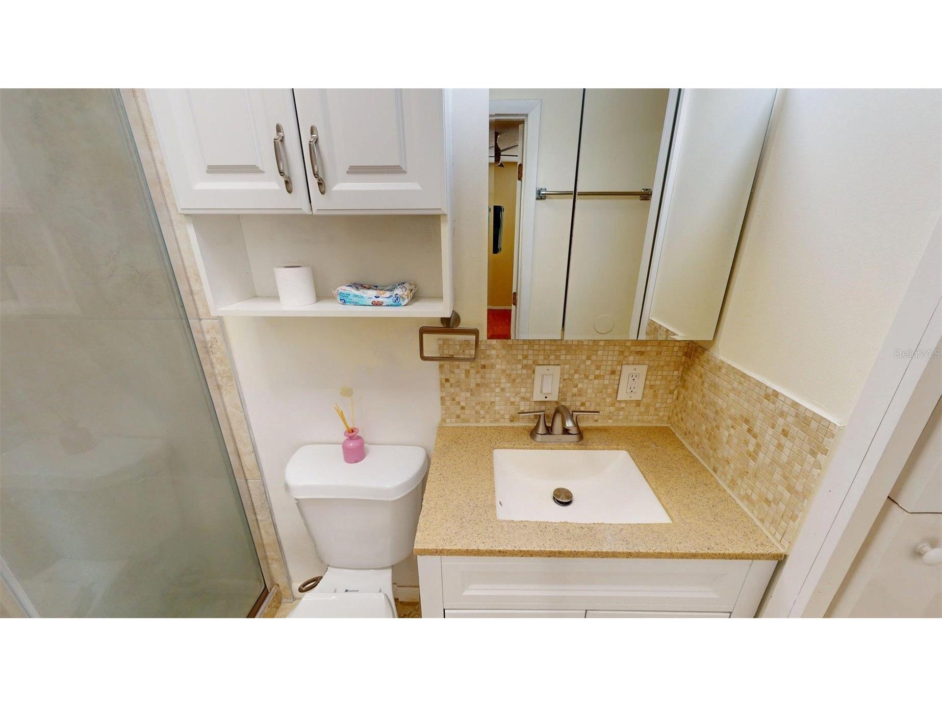 1102 W Gibson Street Arcadia FL 34266 P4938476 image12