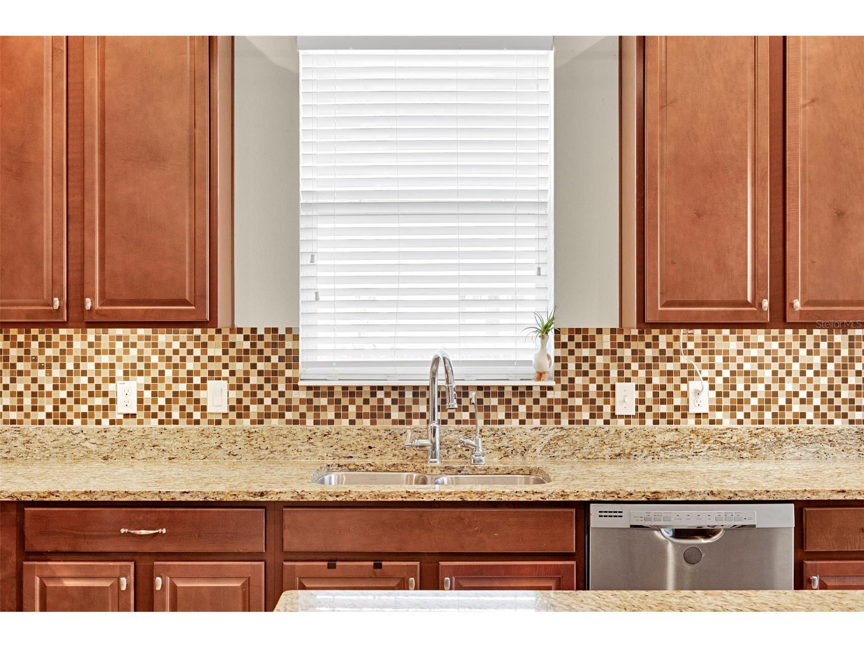 1102 White Water Bay Drive Groveland FL 34736 O6378886 image11