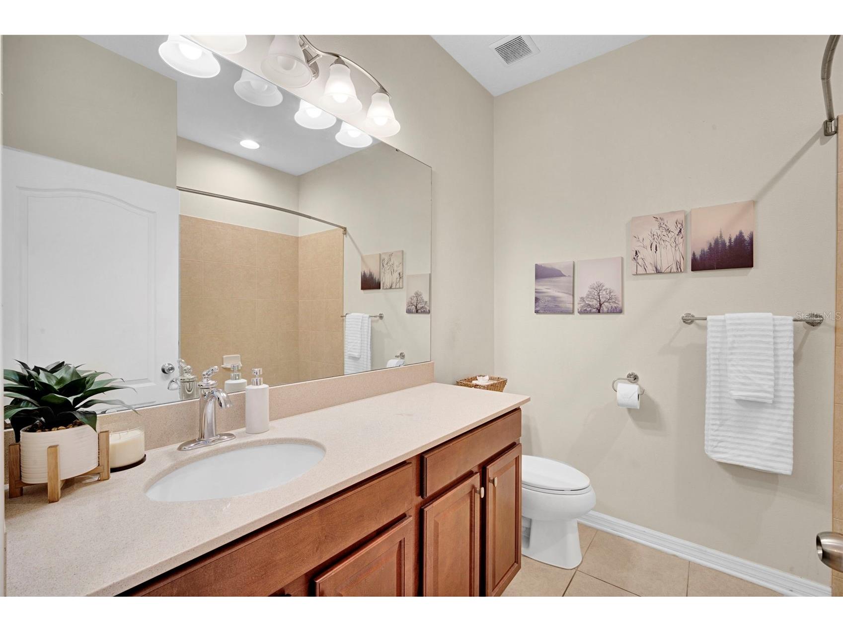 1102 White Water Bay Drive Groveland FL 34736 O6378886 image33