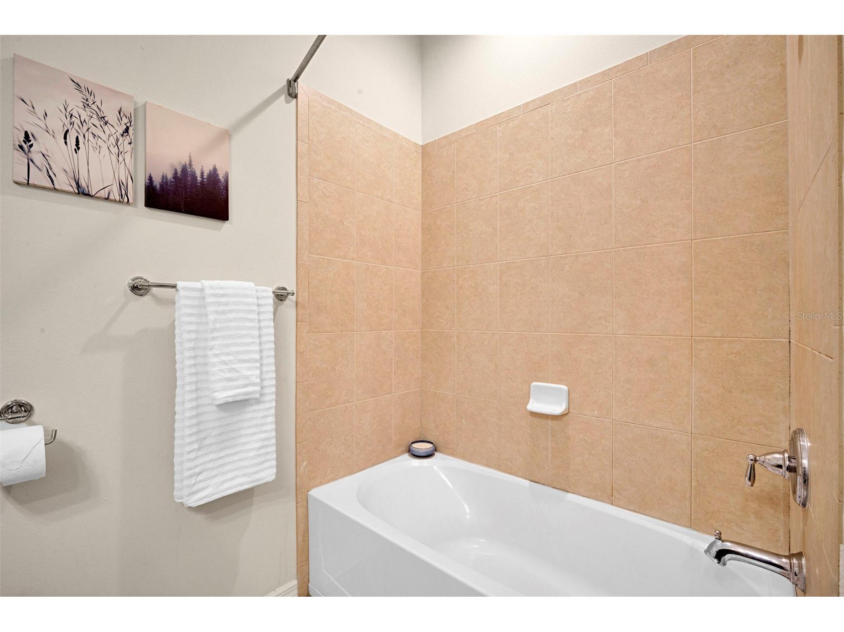 1102 White Water Bay Drive Groveland FL 34736 O6378886 image34