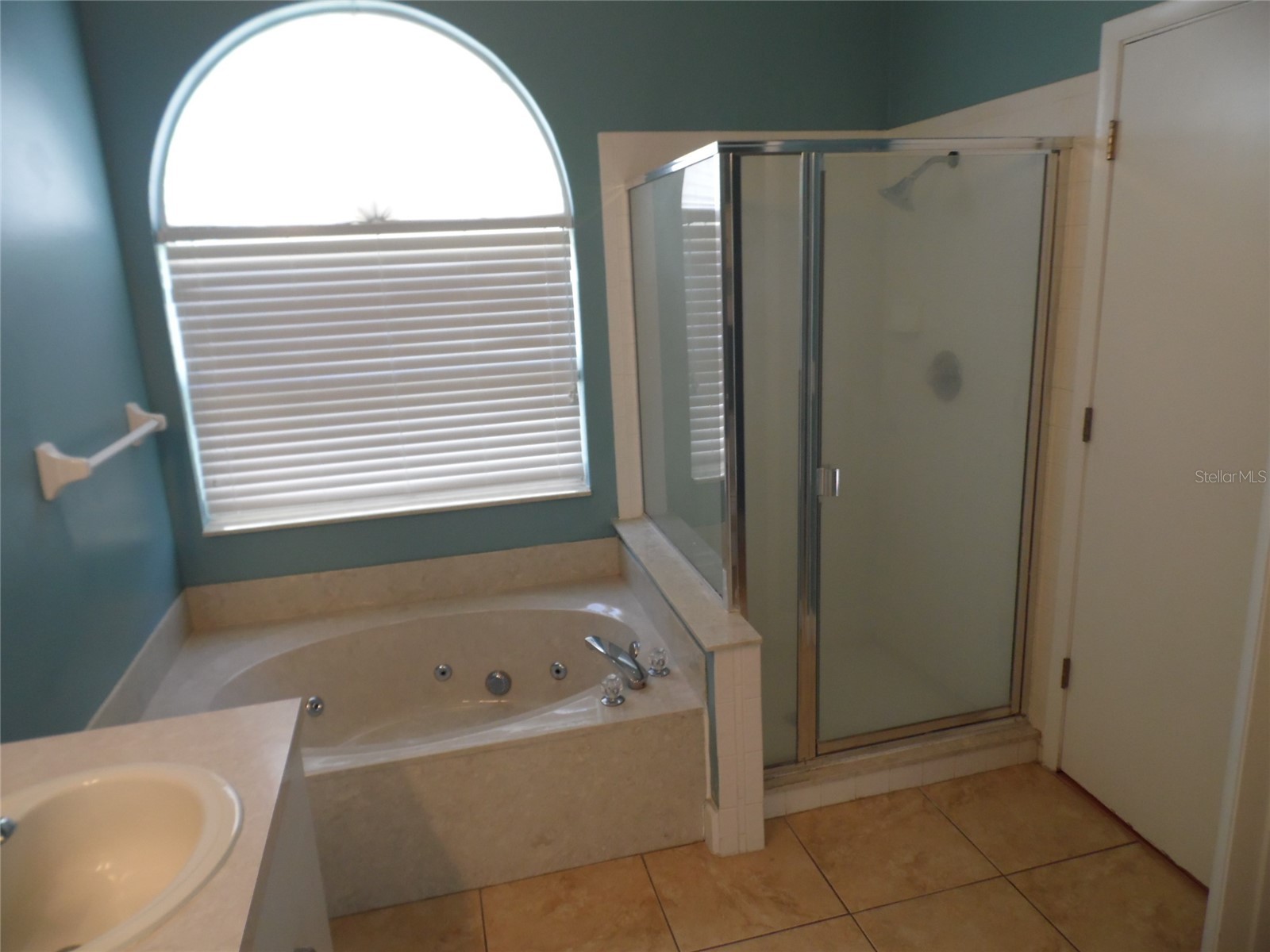 11020 Felton Court Orlando FL 32825 O6410692 image13
