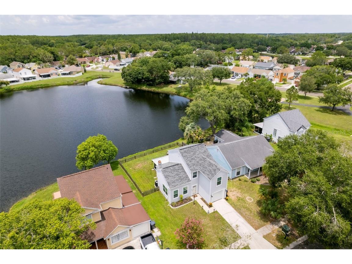 11020 Greenaire Drive Tampa FL 33624 U8207810 image1