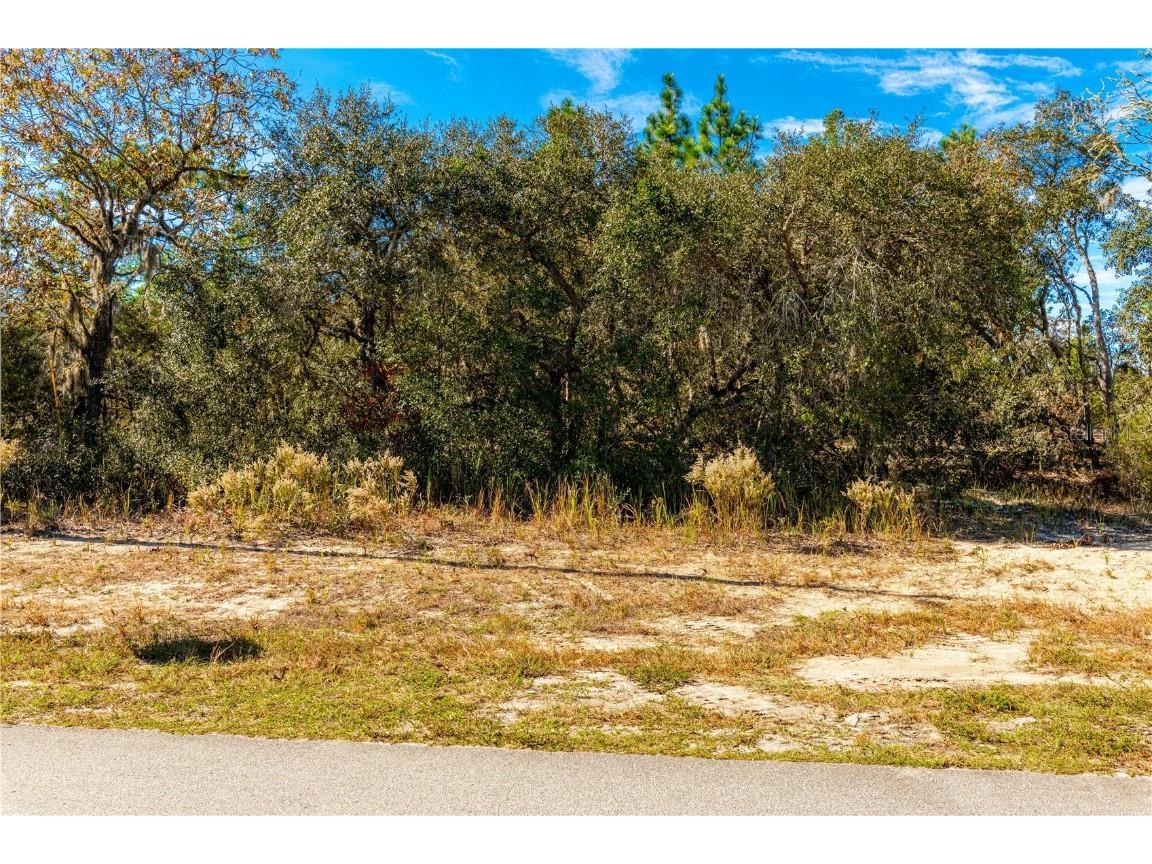 11020 N G Martinelli Citrus Springs FL 34433 T3418834 image1