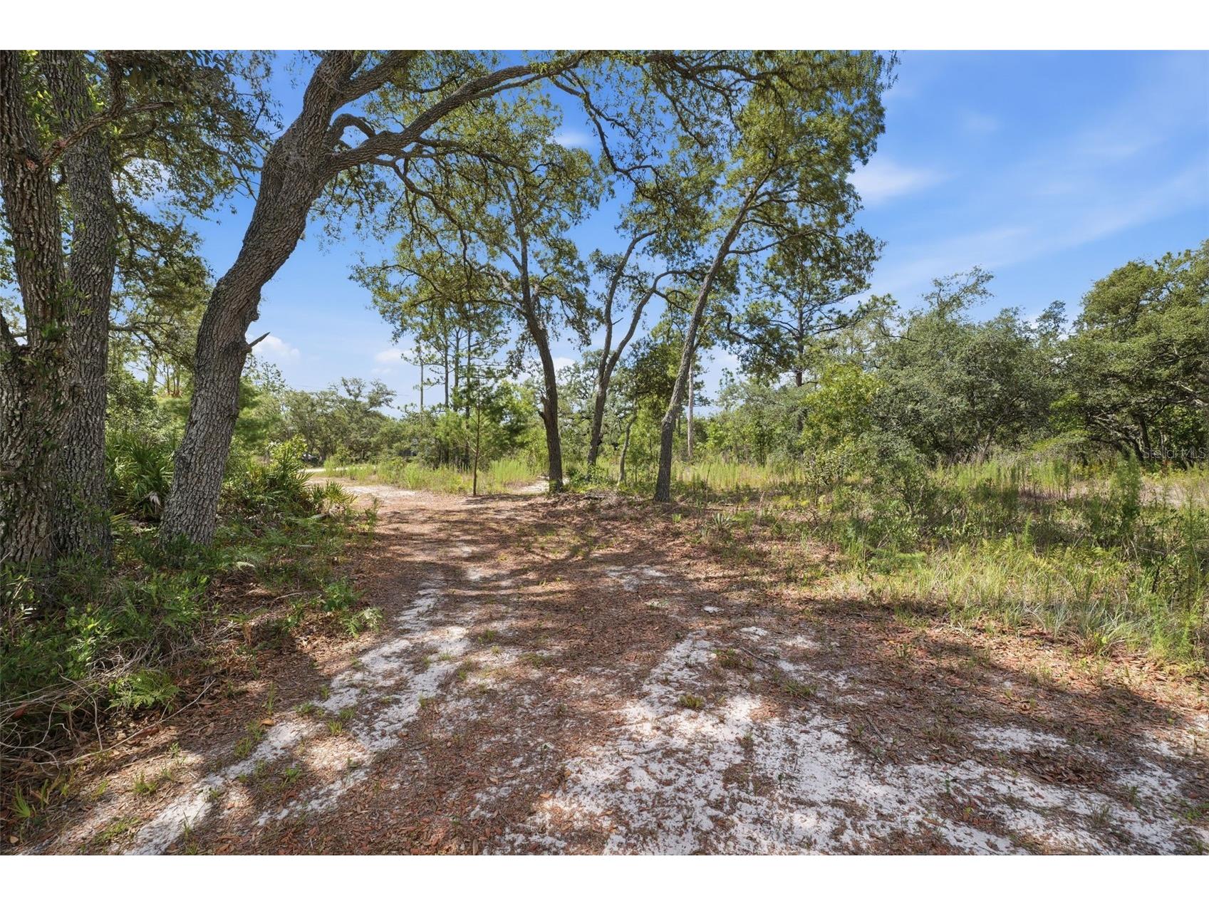 11020 Sage Thrasher Avenue Weeki Wachee FL 34614 TB8521768 image57