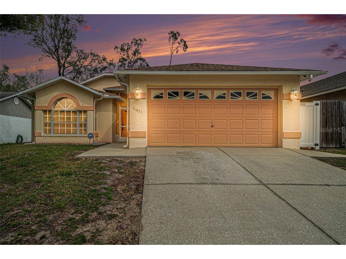 11021 Austin Court New Port Richey FL 34654 T3510293 image1
