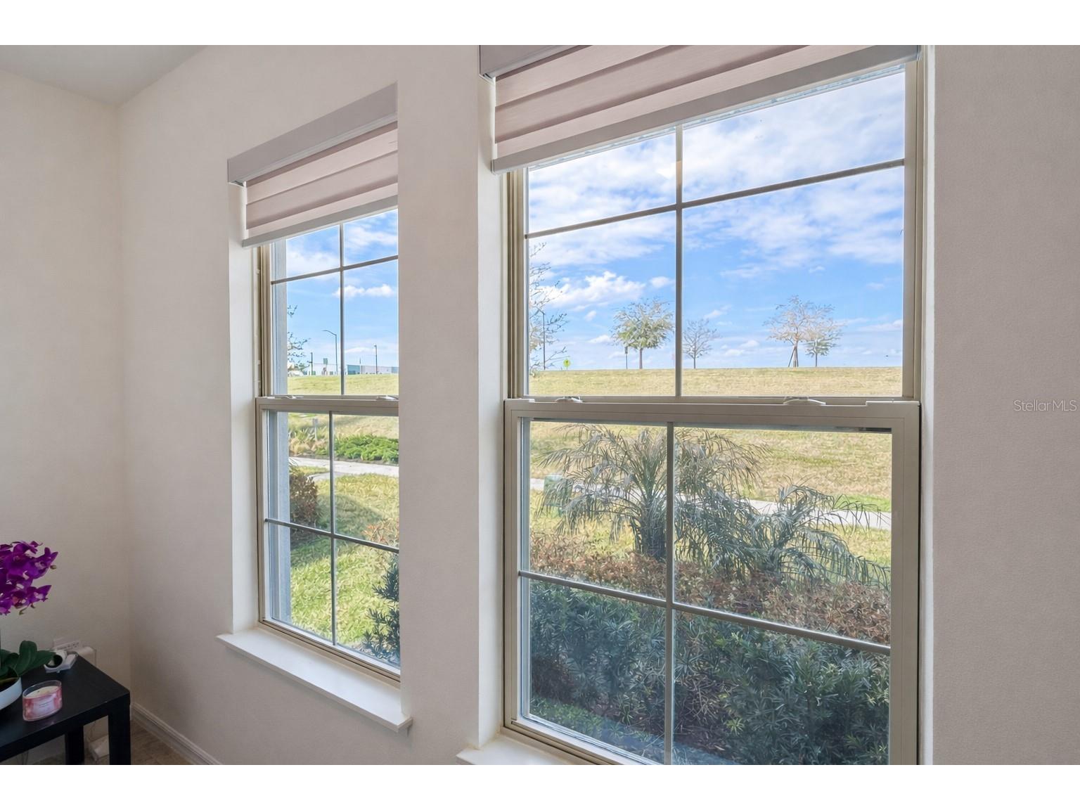 11021 Bostwick Alley Winter Garden FL 34787 O6379924 image16