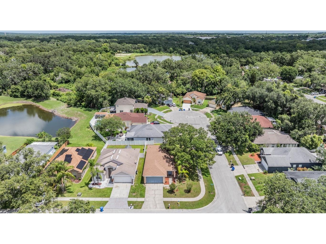 11022 Connacht Way Tampa FL 33610 TB8397299 image3