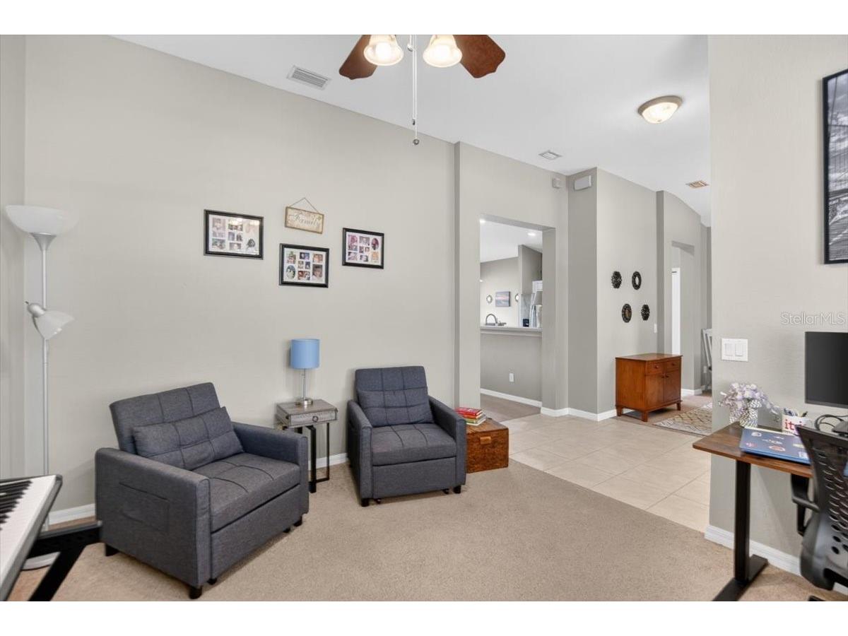 11023 Holly Cone Drive Riverview FL 33569 TB8513906 image11