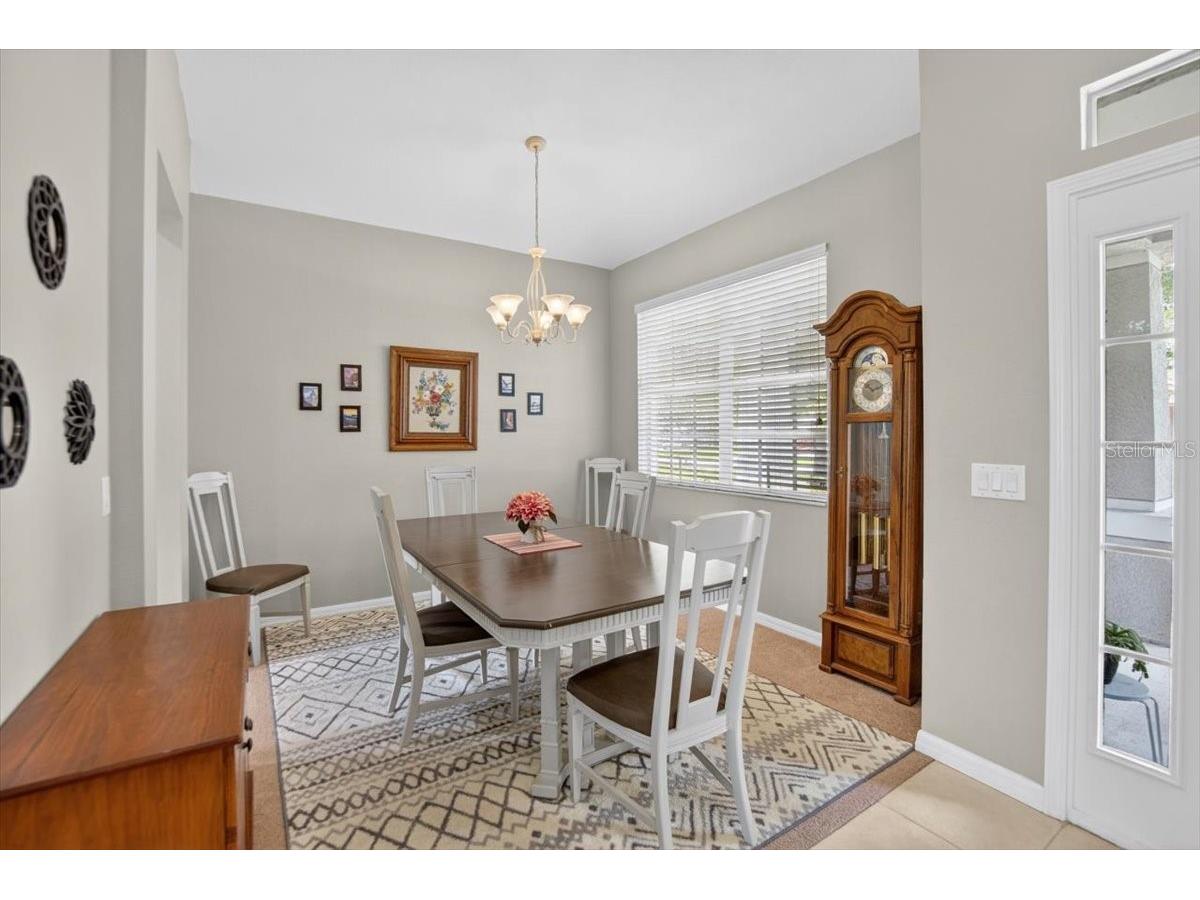 11023 Holly Cone Drive Riverview FL 33569 TB8513906 image12