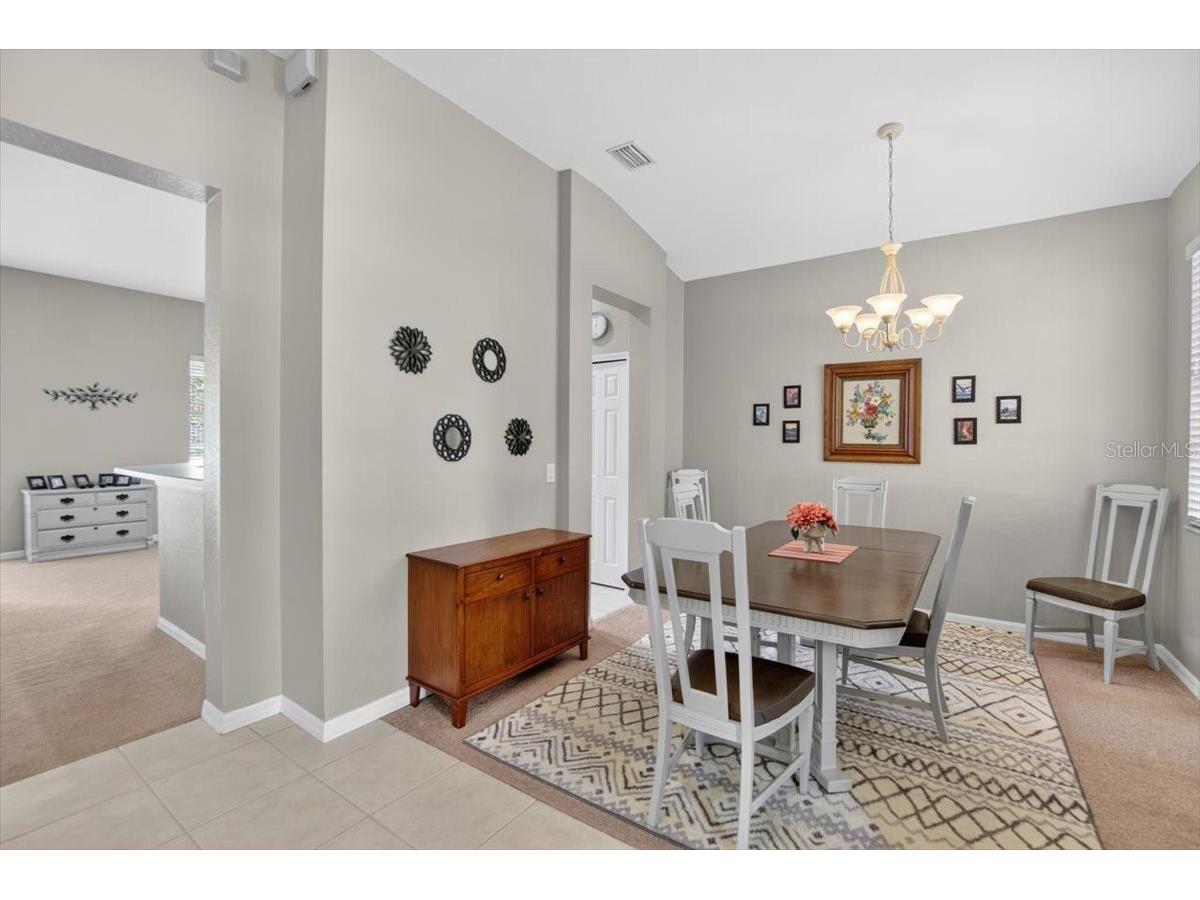 11023 Holly Cone Drive Riverview FL 33569 TB8513906 image13