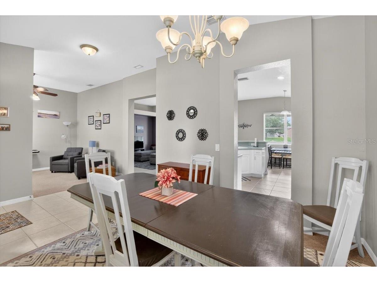 11023 Holly Cone Drive Riverview FL 33569 TB8513906 image17