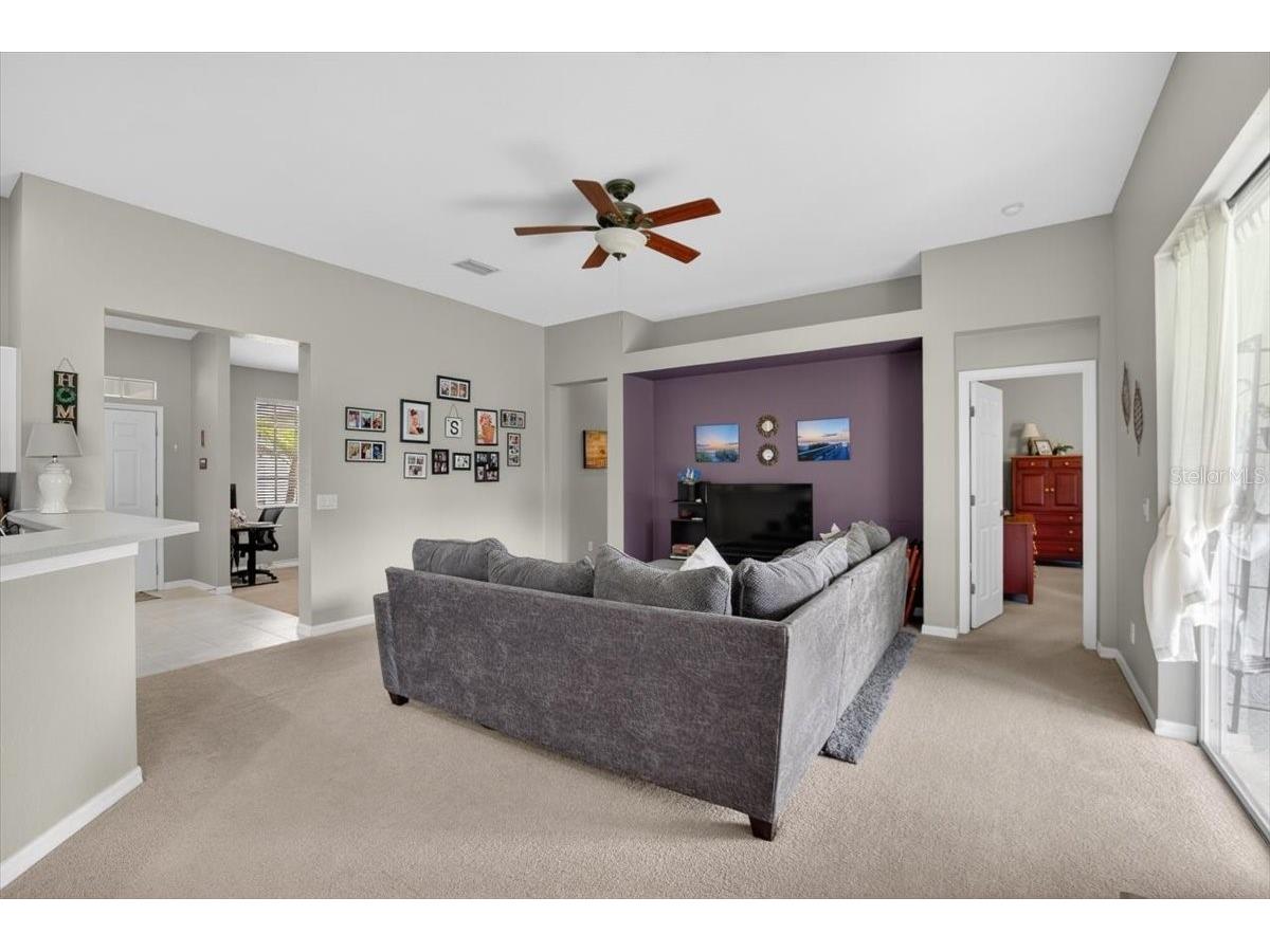 11023 Holly Cone Drive Riverview FL 33569 TB8513906 image18