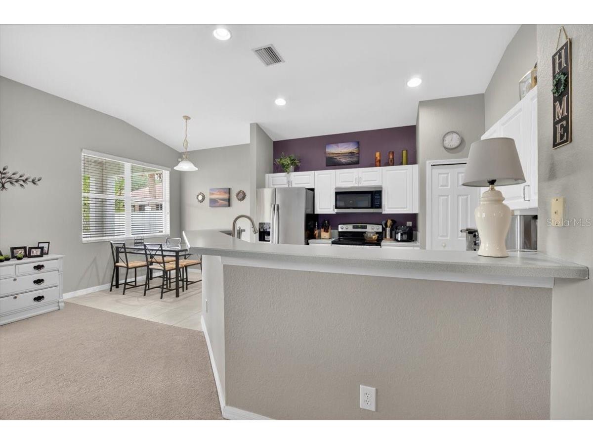11023 Holly Cone Drive Riverview FL 33569 TB8513906 image20