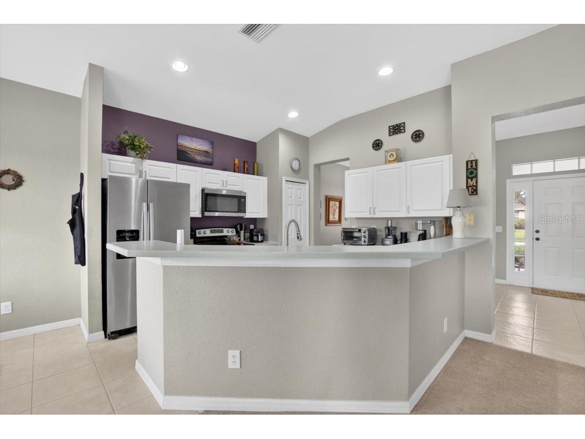 11023 Holly Cone Drive Riverview FL 33569 TB8513906 image21