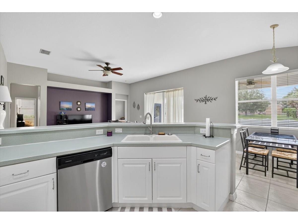 11023 Holly Cone Drive Riverview FL 33569 TB8513906 image22