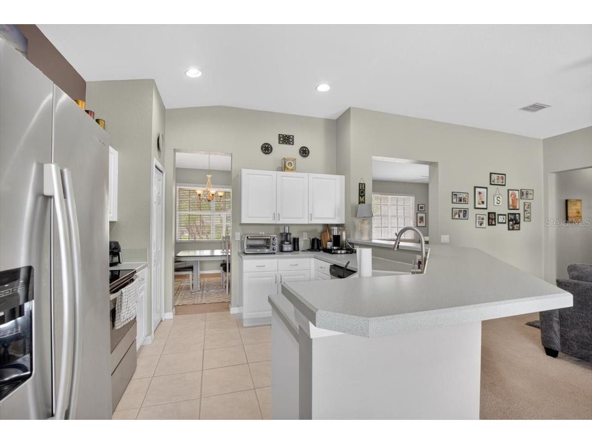 11023 Holly Cone Drive Riverview FL 33569 TB8513906 image23
