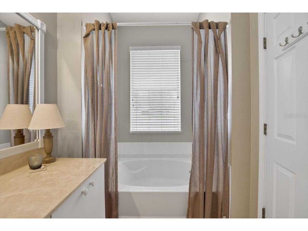 11023 Holly Cone Drive Riverview FL 33569 TB8513906 image25