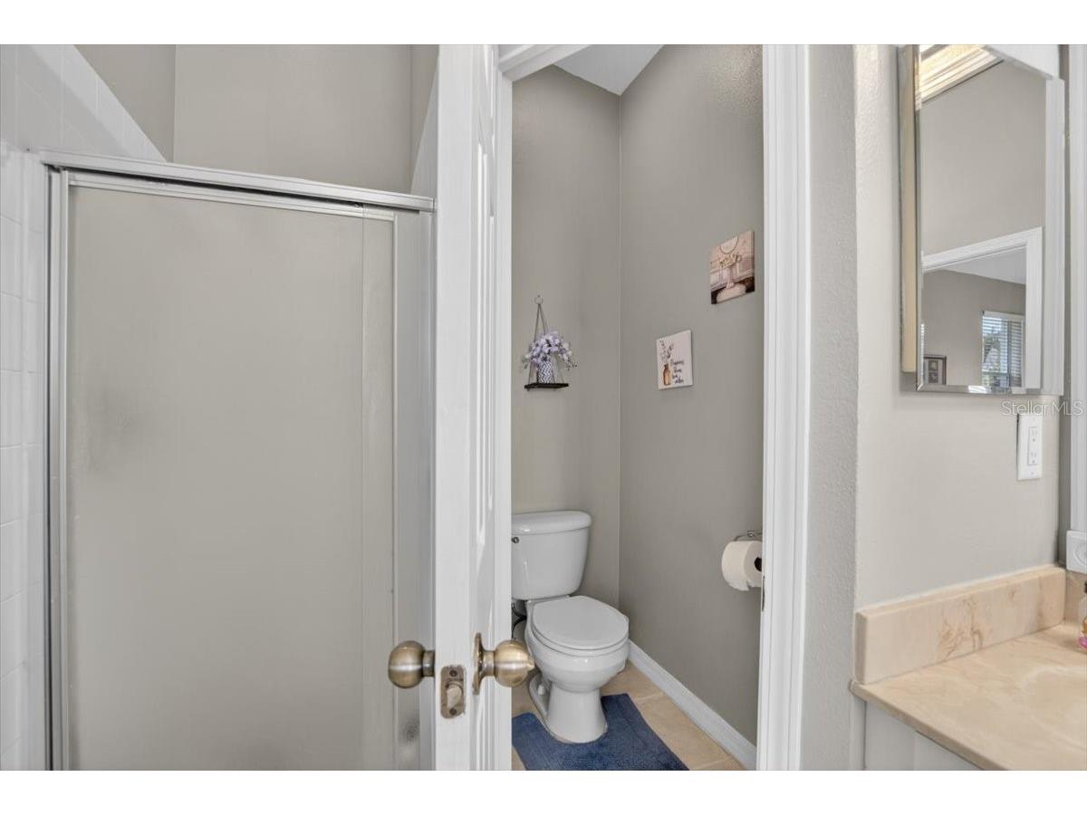 11023 Holly Cone Drive Riverview FL 33569 TB8513906 image26
