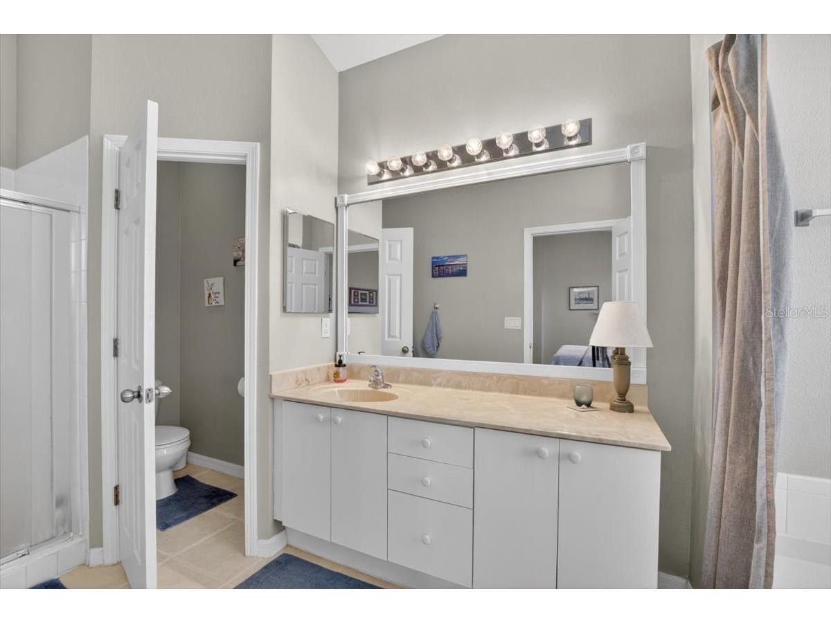 11023 Holly Cone Drive Riverview FL 33569 TB8513906 image28