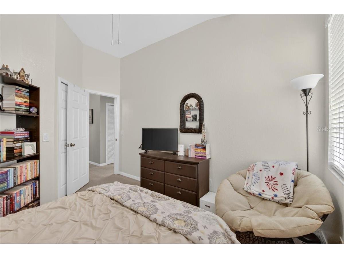 11023 Holly Cone Drive Riverview FL 33569 TB8513906 image35