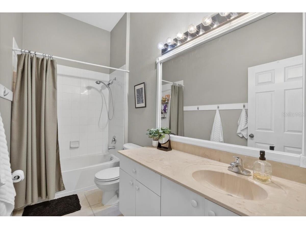 11023 Holly Cone Drive Riverview FL 33569 TB8513906 image37