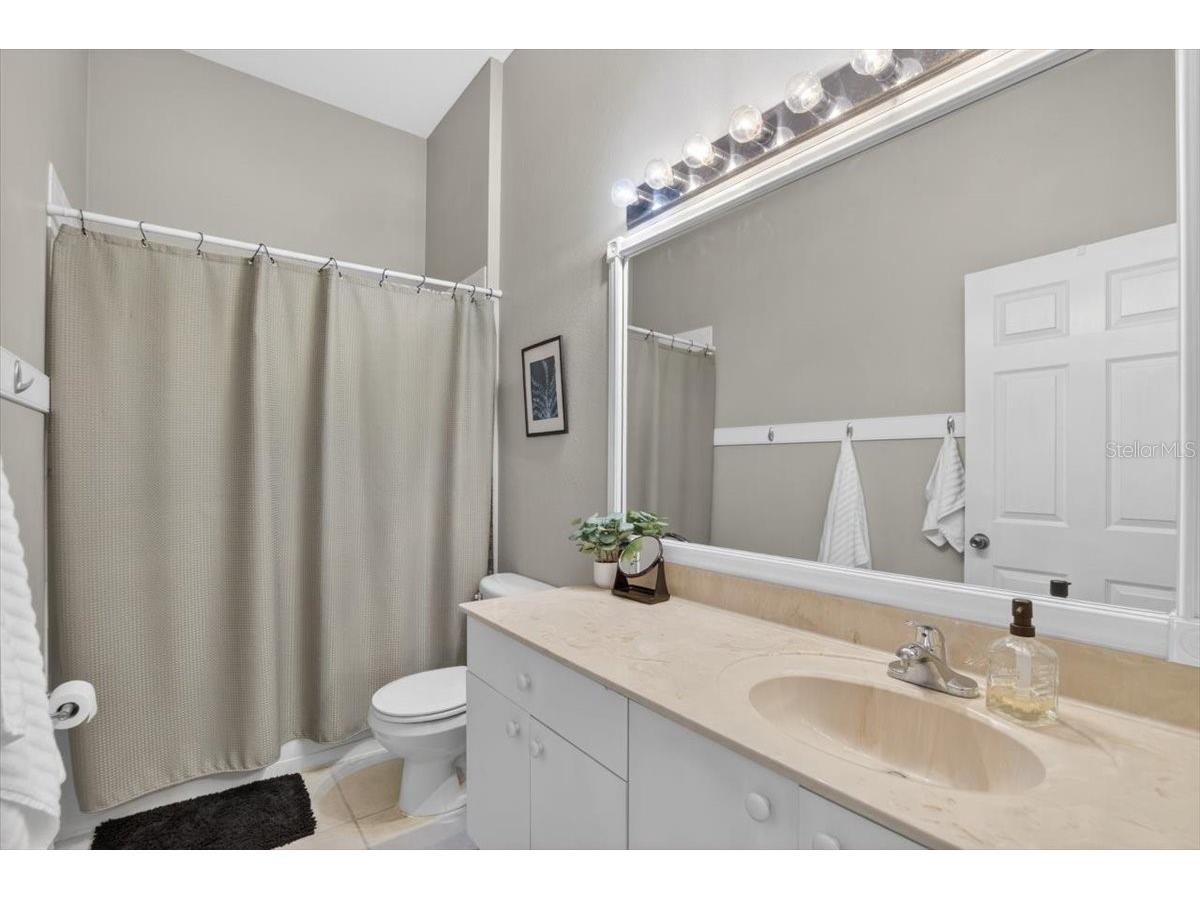 11023 Holly Cone Drive Riverview FL 33569 TB8513906 image38
