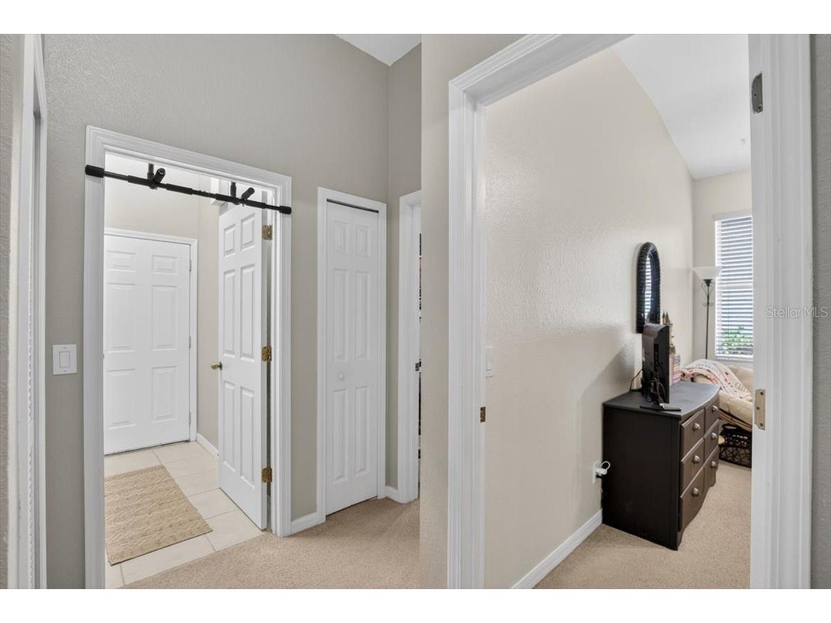 11023 Holly Cone Drive Riverview FL 33569 TB8513906 image42