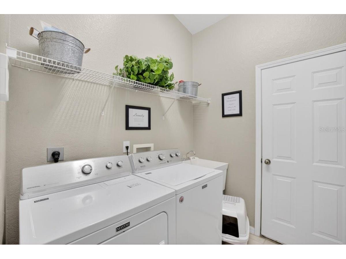 11023 Holly Cone Drive Riverview FL 33569 TB8513906 image44