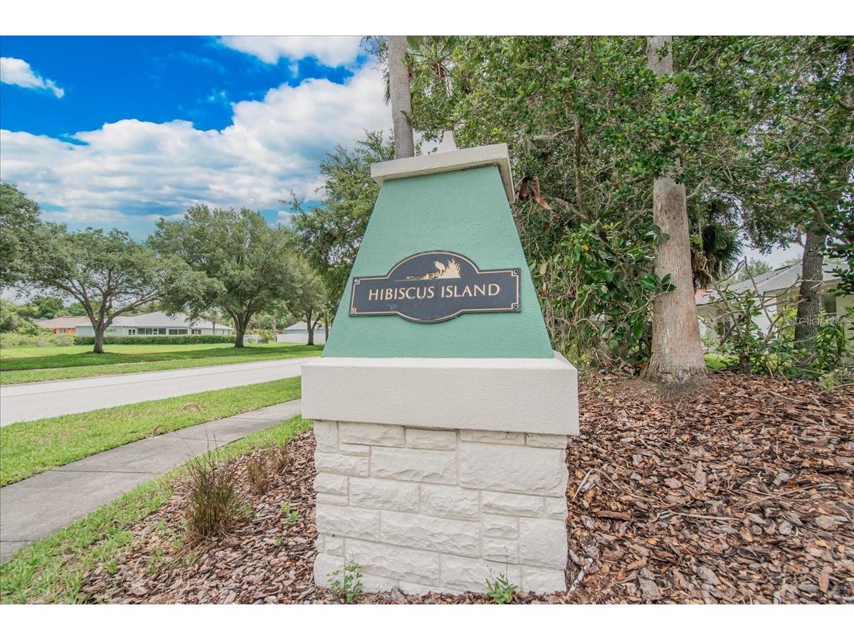 11023 Holly Cone Drive Riverview FL 33569 TB8513906 image62