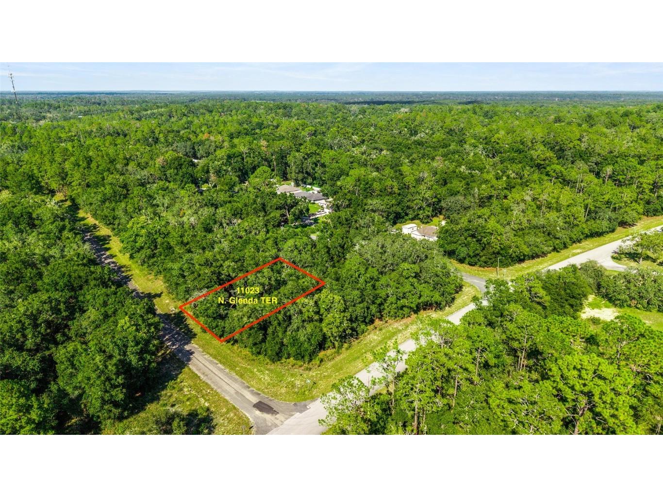 11023 N Glenda Terrace Dunnellon FL 34434 OM709562 image1