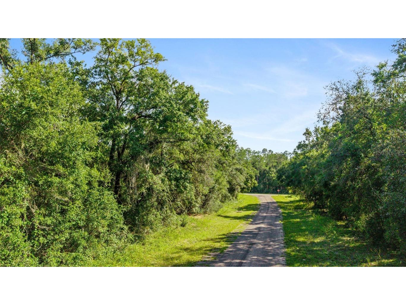 11023 N Glenda Terrace Dunnellon FL 34434 OM709562 image4