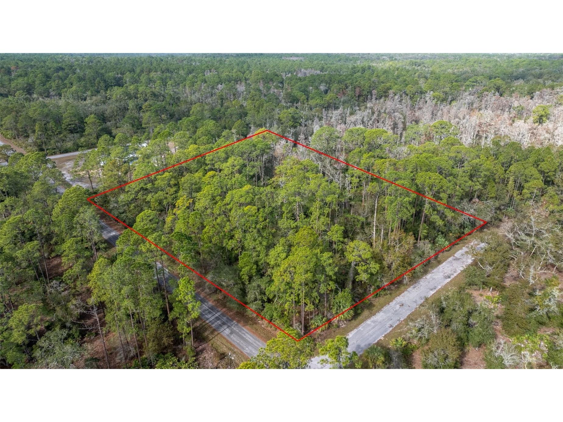 11023 W Acacia Drive Crystal River FL 34428 OM691614 image1