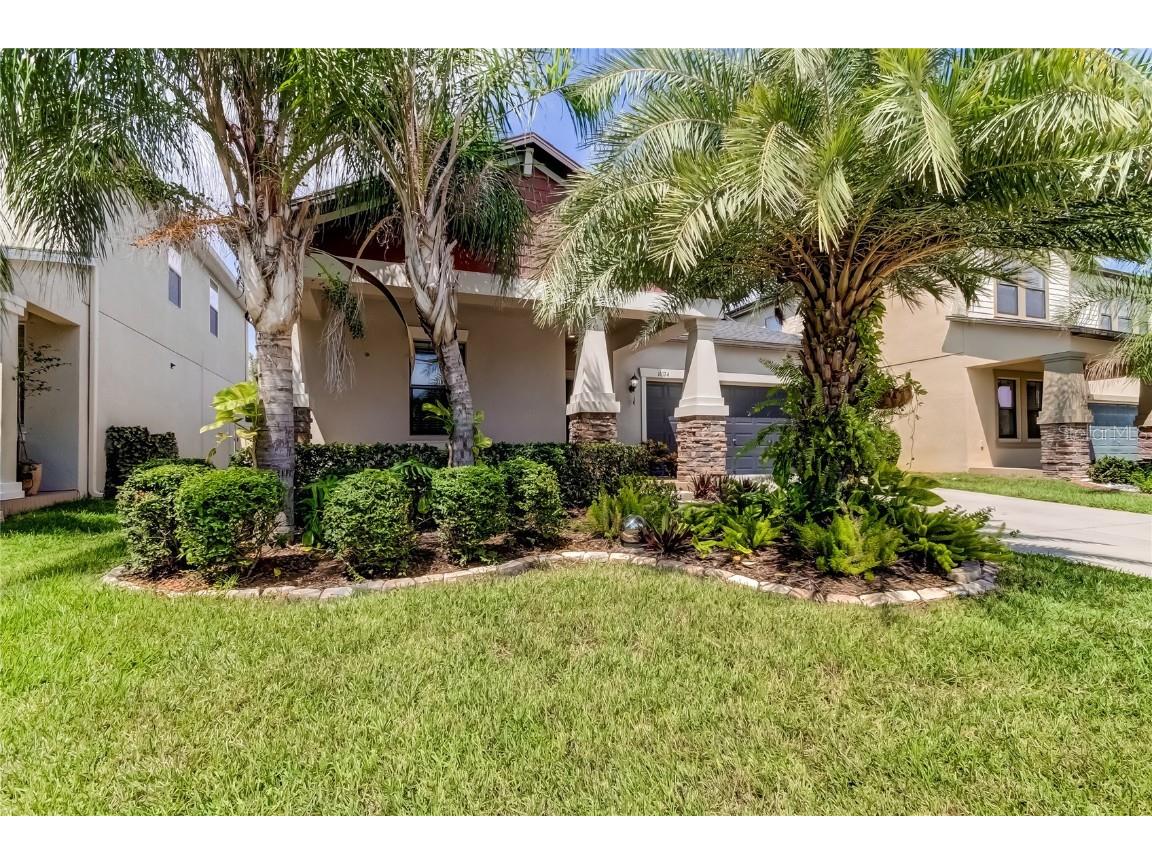 11024 Little Blue Heron Drive Riverview FL 33579 T3474863 image1