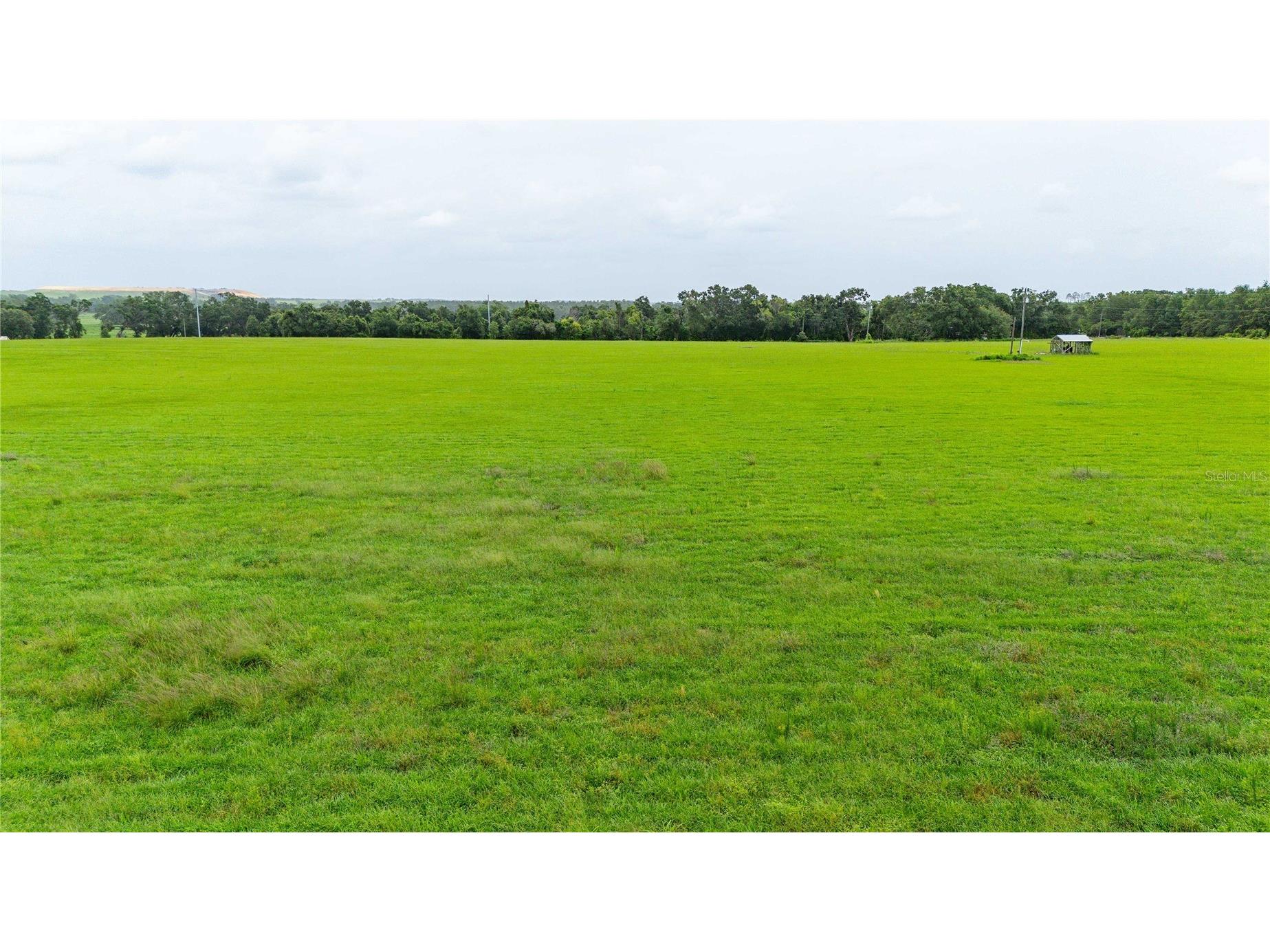 11025 Beckum Road Dade City FL 33525 TB8396016 image12