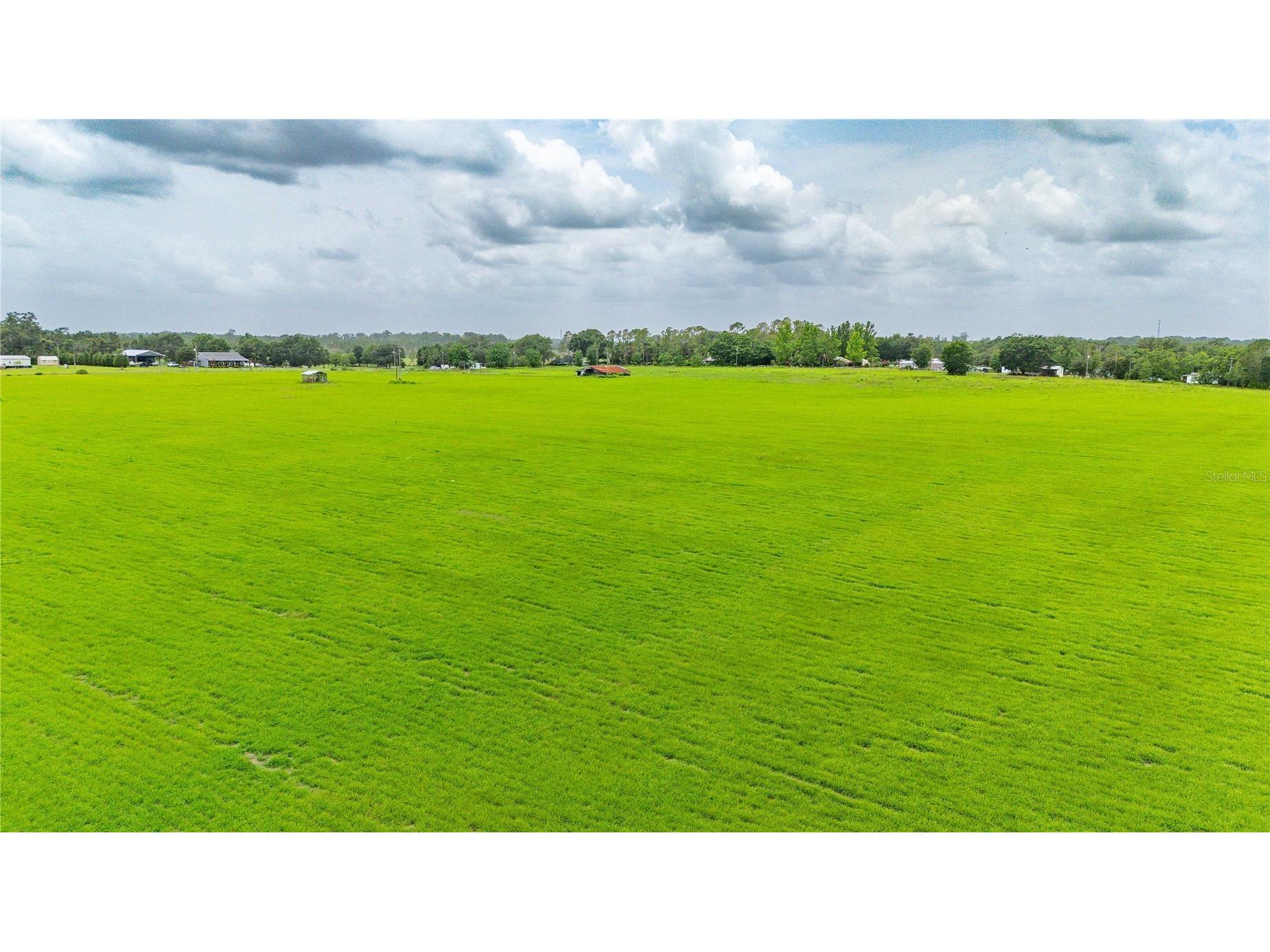 11025 Beckum Road Dade City FL 33525 TB8396016 image6