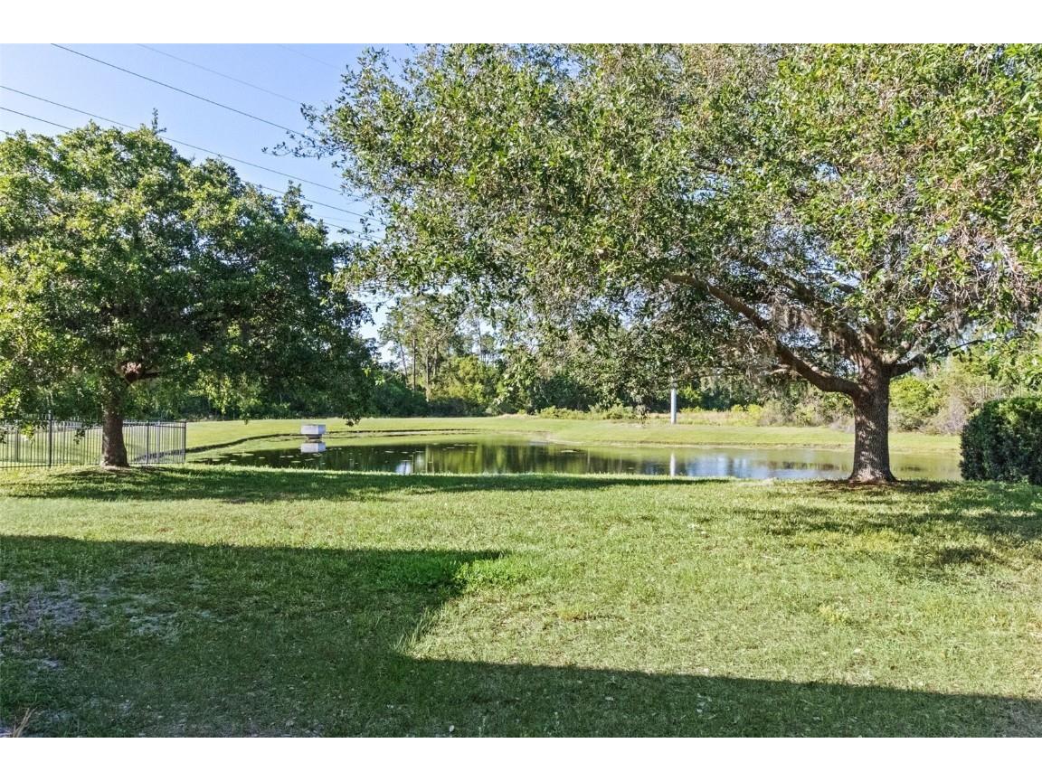 11025 Ledgement Lane Windermere FL 34786 O6300223 image46