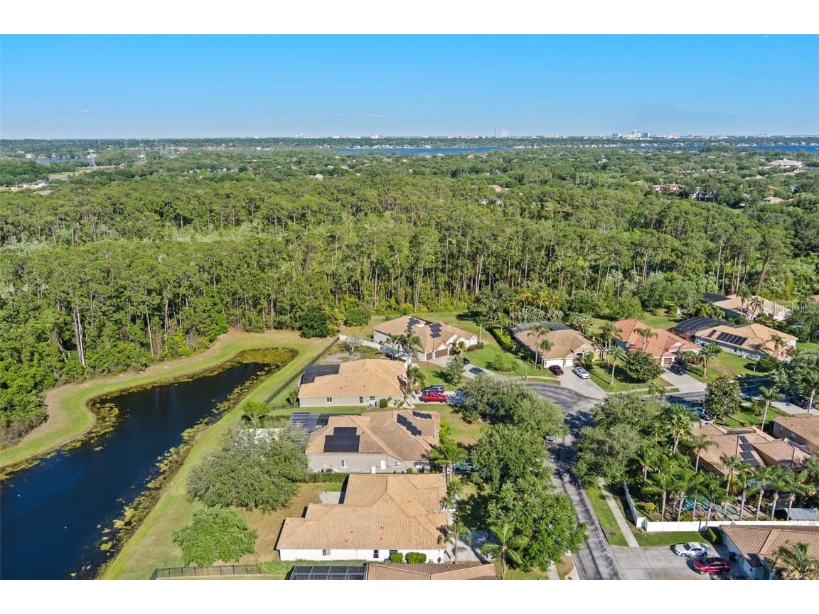 11025 Ledgement Lane Windermere FL 34786 O6300223 image51