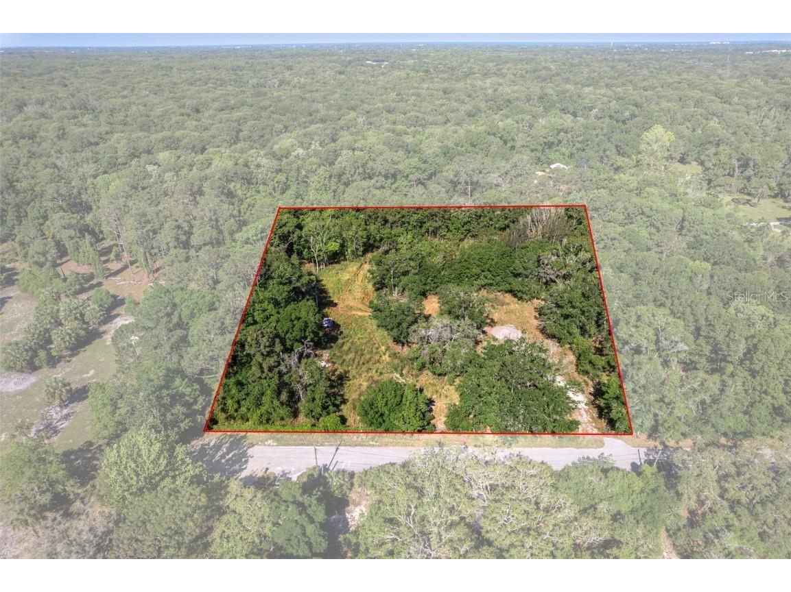 11025 Tracey Court New Port Richey FL 34654 W7864058 image1