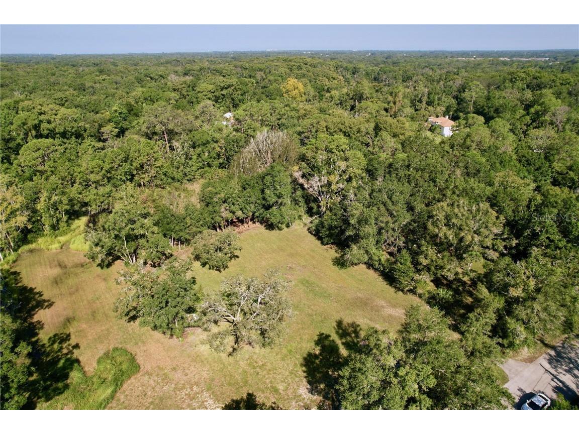 11025 Tracey Court New Port Richey FL 34654 TB8422729 image12