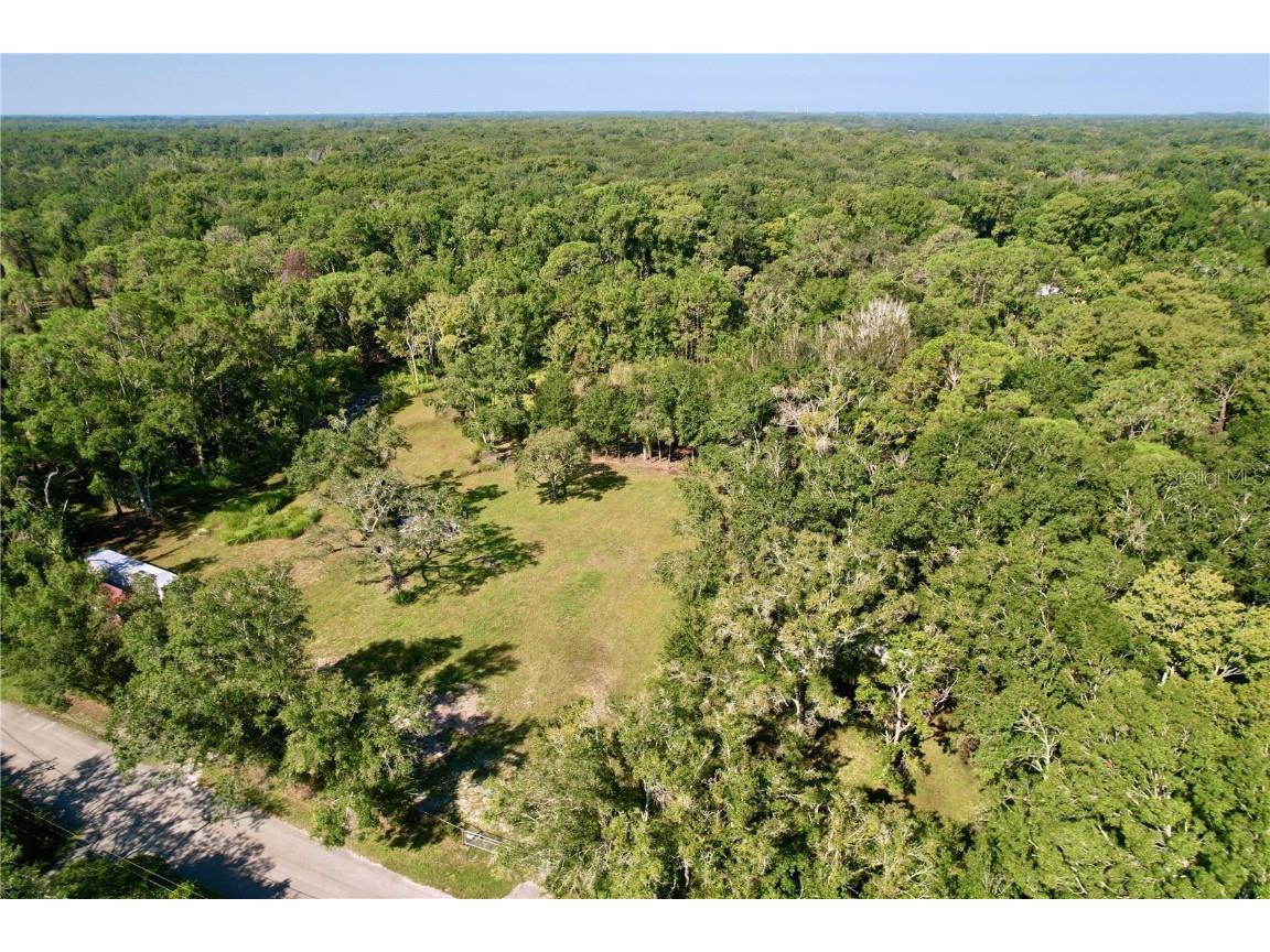 11025 Tracey Court New Port Richey FL 34654 TB8422729 image14